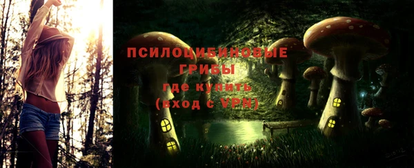 mix Богородицк